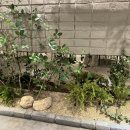 다비다 식당 이미지