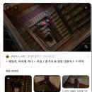 호텔 준(HOTEL JUNE) | 프라하 바츨라프 스퀘어 호텔 wenceslas Square Hotel 내돈내산 투숙 후기 프라하 시내 숙소