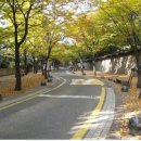노해길 이미지