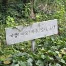 애월파크힐빌리지 이미지