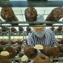 창녕군 치매안심센터 이미지