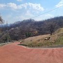 정심사입구 이미지