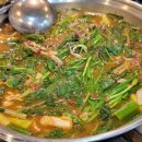 박달재식당 네이버블로그