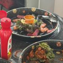 더파란 | 괌 돌핀 투어 "파란크루즈" 이용 후기