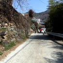 남해-242 Daum카페