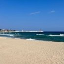 병곡숲화장실 이미지