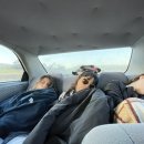 강림주유소 이미지