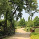 인천대공원 티스토리