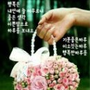 홍조