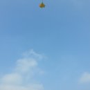 십일월삼일