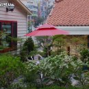 풍년오리박사 이미지