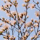 이화여자대학교 디자인대학원 이미지