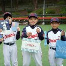 롯데문구 - 양산시 상북중앙로 363 | 롯데문구