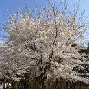 알바트로스골프장 이미지