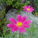 카톨릭병원 이미지