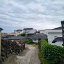 폭낭 올레집 이미지