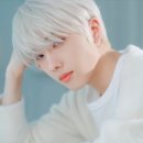 모하이