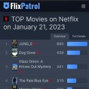 No. 1 Netflix Movie (World), Top 10 on 84 Countries | Updates on Comments 이미지