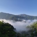 견불동정원 이미지