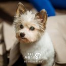 [일상]10월 조각 | 가을 전어 이슈