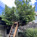 막다른 둥지 이미지