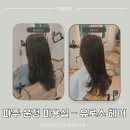 신윤미용실 | 파주 운정 미용실 추천-유로소 헤어 파주운정점 신윤 디자이너 밀본스무스클리닉 후기