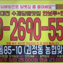 롤로코리아 - 칠곡군 | 롤로코리아