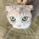 현바이크 | 아산힙한카페 바이크랩 다녀 온 후기