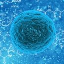 (주)이에이치엘 이미지