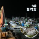 대포동주민센터 | 속초 설악항 활어회회센터 오복호 잡어회 대포동 부둣가 데이트