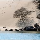 벌과나비 이미지