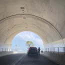 진도여라 | 쏠비치 진도 리조트 스위트 오션뷰 후기!!