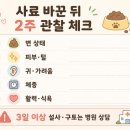 여량축산 | 강아지 사료 성분표 읽는 법, 처음 보는 5줄 체크