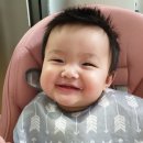 댕이맘마 이미지