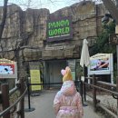 정원비디오 | 에버랜드 판다월드 판다세컨하우스 바오하우스 나비의 꿈꾸는 정원