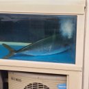 금곡횟집 이미지