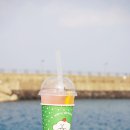 좋은씨앗제주