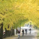 학리입구 이미지