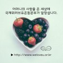 러브피스마음