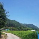 수륜면사무소 이미지