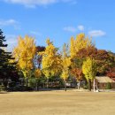 백봉초등학교 이미지