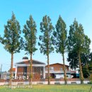 이마트24 익산금마중앙점 이미지