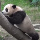 카페 레베카 이미지