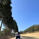 무늬만 쏭프로 골프투어 이미지
