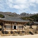 달마스테이 이미지