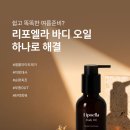 S바디
