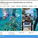 1378 | 나트랑 미니비치 호핑투어 레츠비 후기