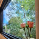 모모별장 이미지