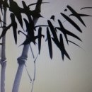 영어(원어민 중급회화A) 이미지