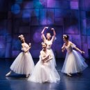 가족발레 <댄싱뮤지엄> 이미지